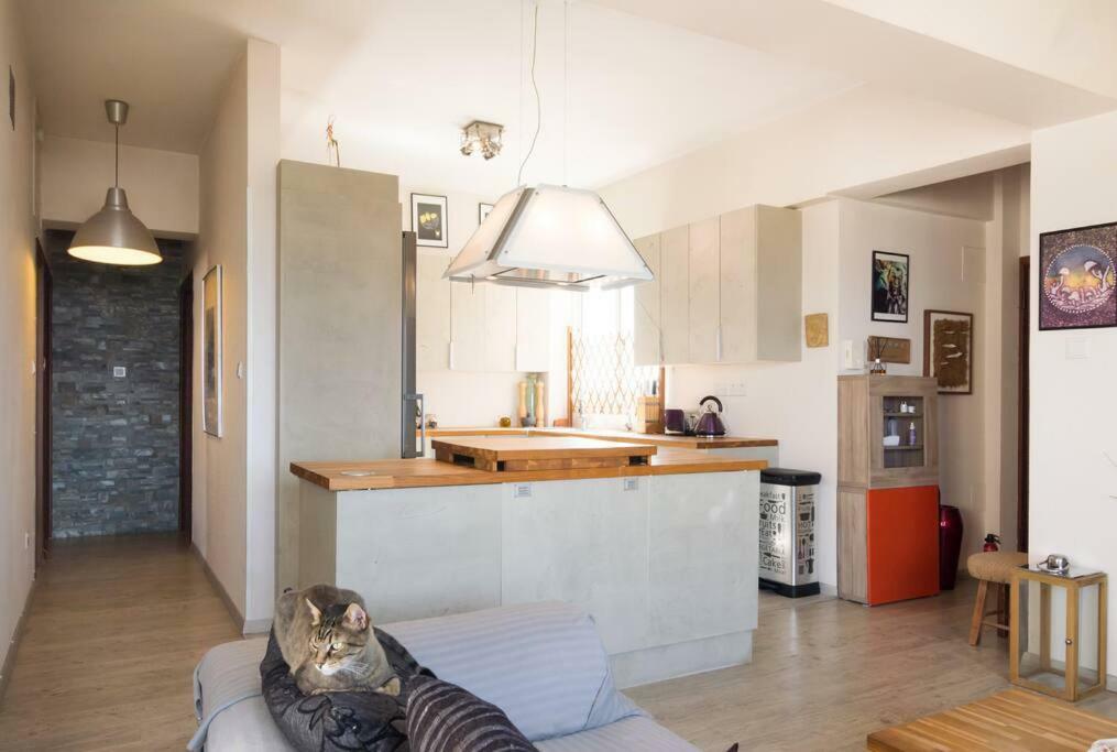 Ferienwohnung Vas' Penthouse Nikosia Exterior foto