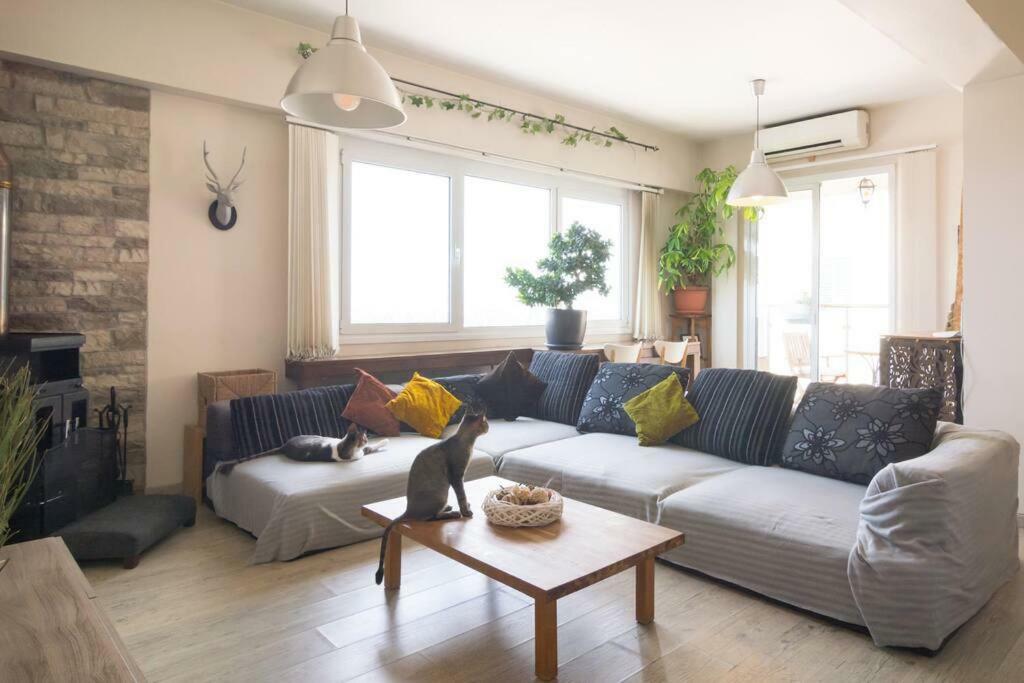 Ferienwohnung Vas' Penthouse Nikosia Exterior foto