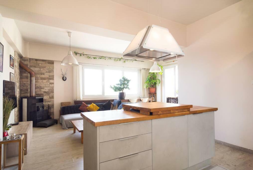 Ferienwohnung Vas' Penthouse Nikosia Exterior foto